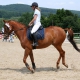 Horseback riding on a tournament in lower austria - © ride77.com / RV