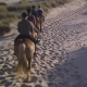 Équitation au Danemark à la plage - © Roland Vidmar / ride77.com