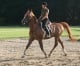 Езда верхом на лошади в Германии - © Roland Vidmar / ride77.com