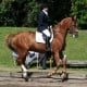 الترويض متسابق حصان في حين أن التدريب في اسكتلندا - © ride77.com / RV