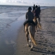 Paseo a caballo por la playa en el mar - © ride77.com / RV