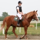 Learn horseback riding in a riding school in Rhineland-Palatinate - © ride77.com / RV