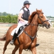 リンツ、アッパーオーストリアの乗馬 - © ride77.com / RV