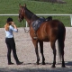 Узнайте, катание на лошадях в школе верховой езды в Зальцбурге - © ride77.com / RV