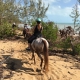Equitation sur les Bahamas, les forêts tropicales et les plages - © ride77.com / RV