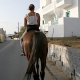 Езда верхом на лошади в Греции - © ride77.com / RV
