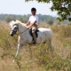 Езда верхом на лошади в Бургенланд - © ride77.com / RV