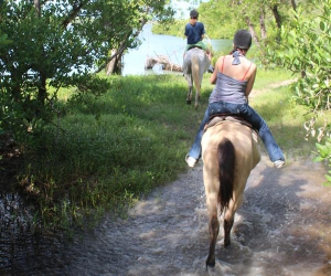 Equitation à Holguín (Equitation à la campagne) © 
