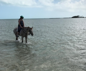 Montar en Bahamas (Montar a caballo al campo) © Roland