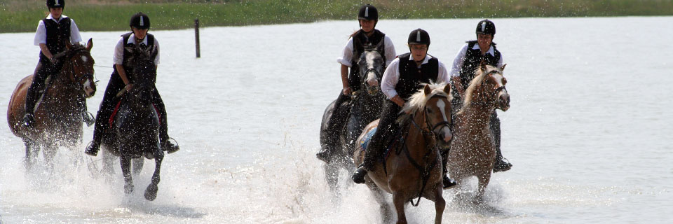 イタリア (ローマ): 乗馬、乗馬の馬小屋、乗馬アカデミー、馬の休日