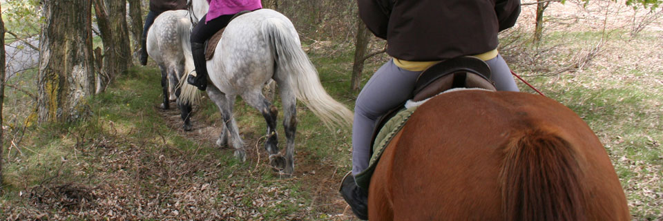 Guipúzcoa (San Sebastián): Horseback Riding, Riding Stable, Riding Academy, Trailriding, Riding Vacation