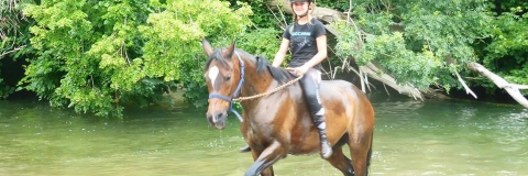 CENTRE EQUESTRE MEAJNNES LE CLAP