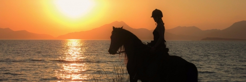 Salt Lake Stables-Exclusive Horse Riding on Kos Island