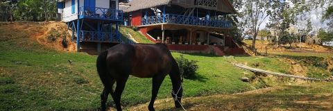 Rancho de Héctor Luis y un caballo