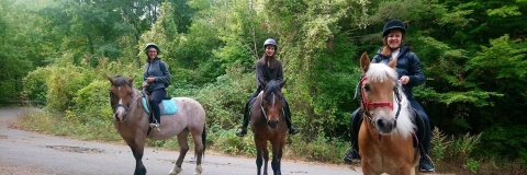Horse Riding Treks