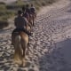 Horseback riding in Denmark to the beach - © Roland Vidmar / ride77.com