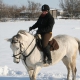 乗馬は、フィンランドの雪の中を乗っ - © RV / ride77.com