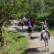 グループは熱帯雨林を通して馬に乗っています - © ride77.com / RV