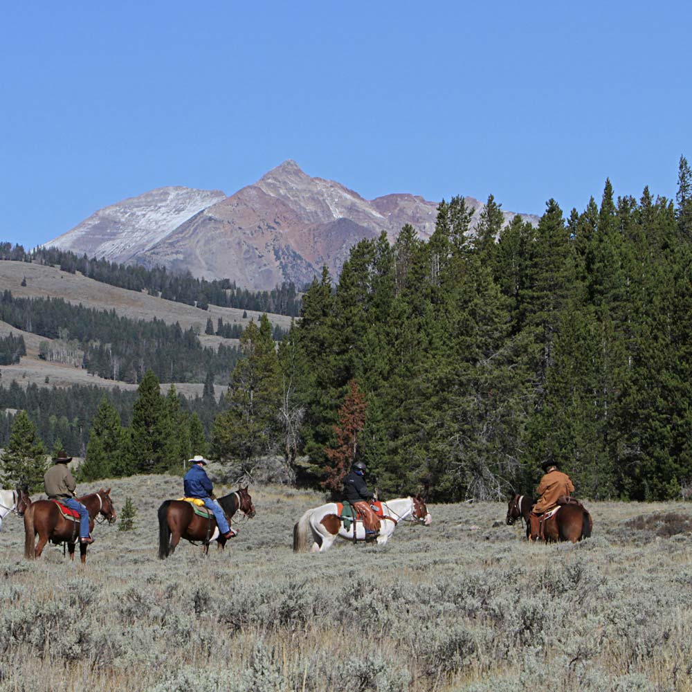 イエローストーン国立公園での乗馬 © Yellowstone National Park / flickr.com