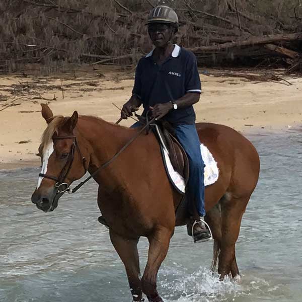 ドミニカ共和国の熱帯海での乗馬 © echonet.at / rv