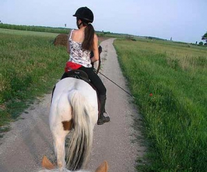 Montar en Burgenland (Montar a caballo al campo) © Roland