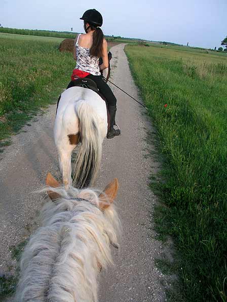Equitation à Burgenland (Equitation à la campagne) © Roland